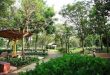 Tiện ích nội khu dự án Kingdom 101 - công viên cây xanh rộng 1ha